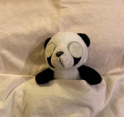 Even Pandas need self care!
(Photo/Katie Jain)