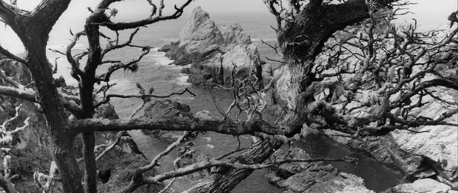 (Photo/Monovisions)