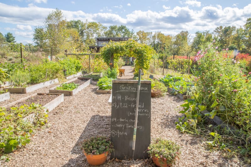Suarez Grebowich Garden. Photo Credit: Princeton Day School Photography