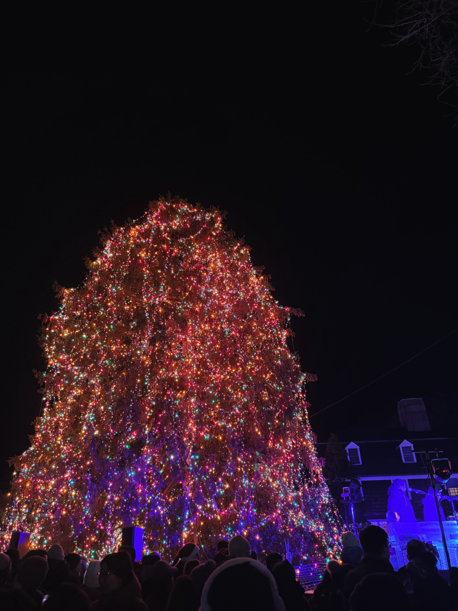 Palmer Square Annual Tree Lighting, Princeton, NJ. Photo Credit: Victoria Sichel